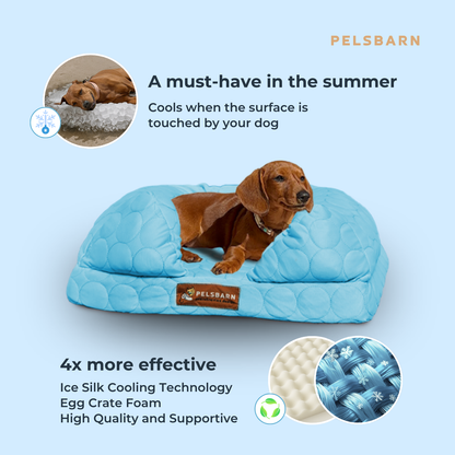 Cooling Orthopedic Bed