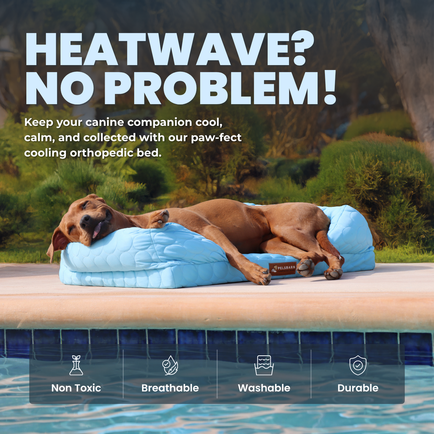 Cooling Orthopedic Bed