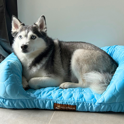 Cooling Orthopedic Bed