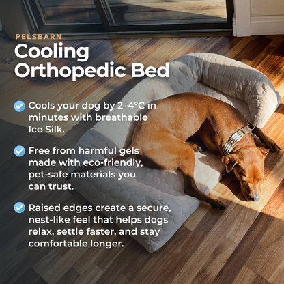 Cooling Orthopedic Bed