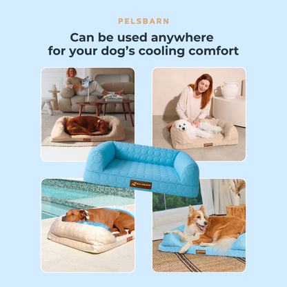 Cooling Orthopedic Bed