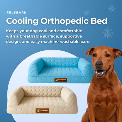 Cooling Orthopedic Bed