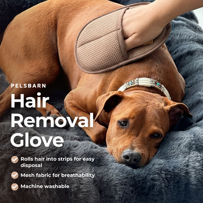 Remove Dog Hair in Seconds
