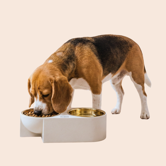 Pelsbarn Dual Dinner Bowl